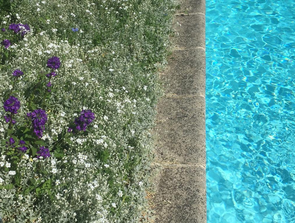 몽타그니레본 Fleurs De Vignes Piscine B&B 외부 사진